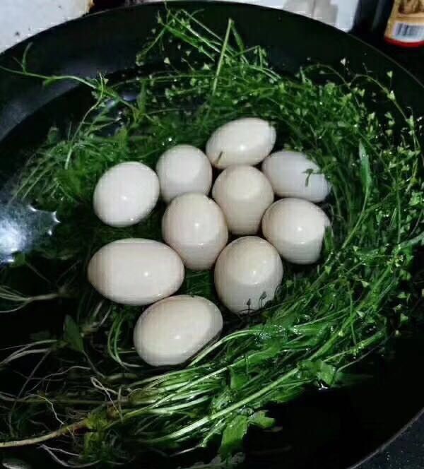 荠菜煮鸡蛋.jpg