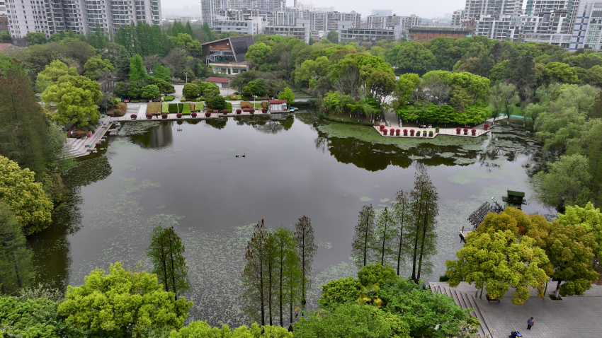 《名不经传的新北中心公园》  摄于常州新北区  刘汝华  13584535096 (2).jpg