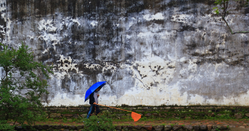 水墨江南——百年老墙经雨水数天浸淫，幻化为一幅绝妙的水墨画。刚巧有捞鱼的小孩走过，点缀画面.JPG