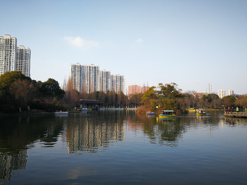 荆川公园昨日景