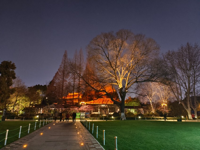 红梅公园夜景图片