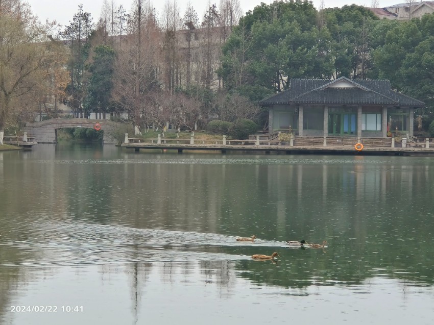 荆川公园介绍图片