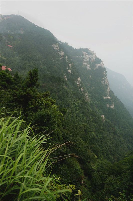 庐山风景区九江好汉坡图片