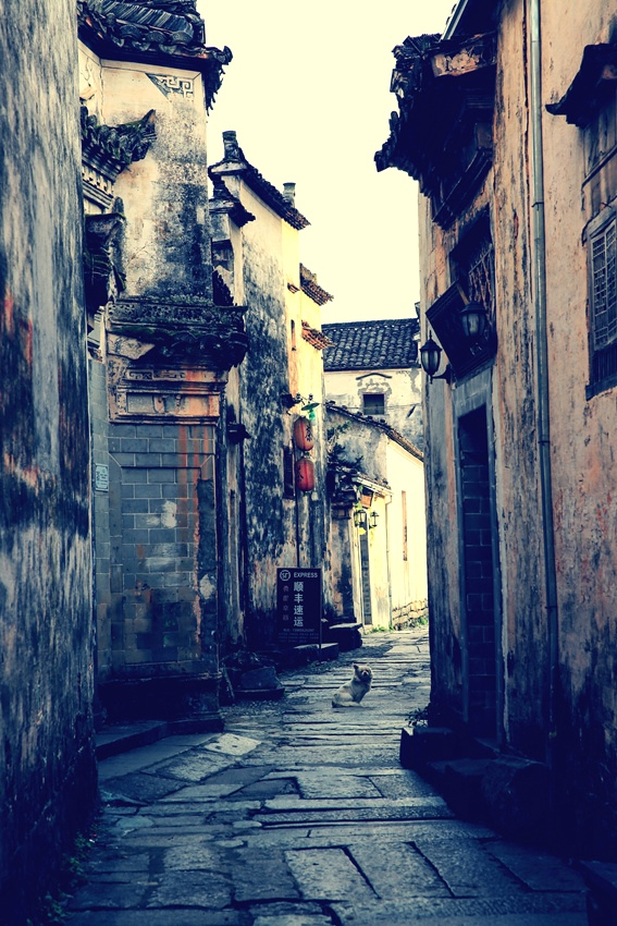 徽州古街图片