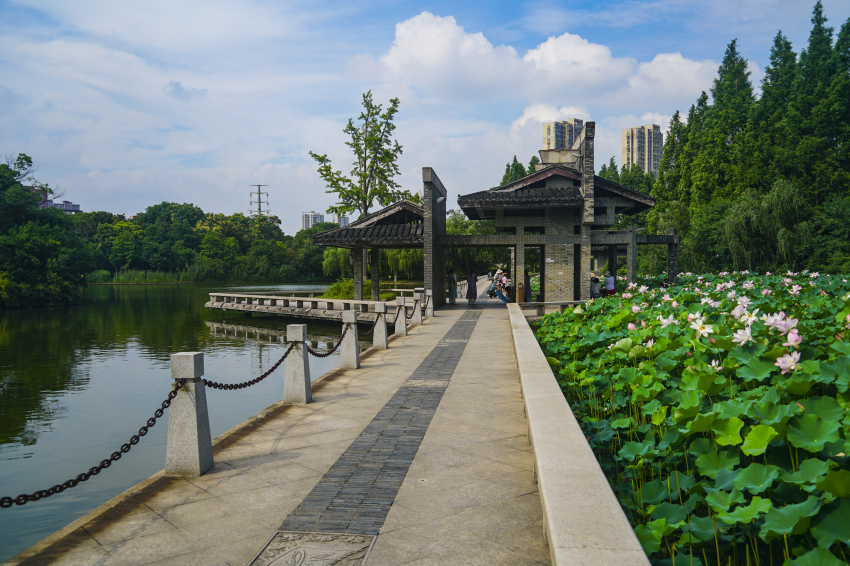 常州荆川公园的游览图图片